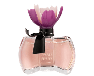 essential-la-petite-fluer-secrete-paris-elysses-eau-de-toilette-perfume-feminino-100ml