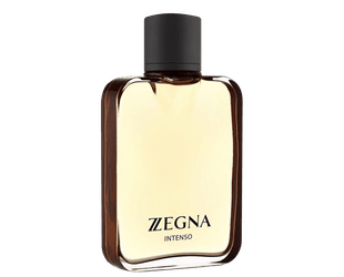 essential-zegna-intenso-ermenegildo-zegna-eau-de-toilette-perfume-masculino